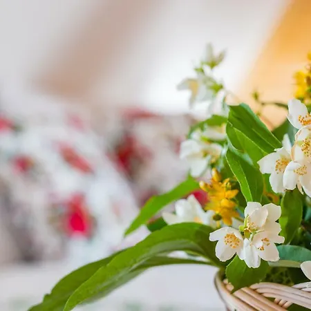 Gliczarowka Ubytování v soukromí *