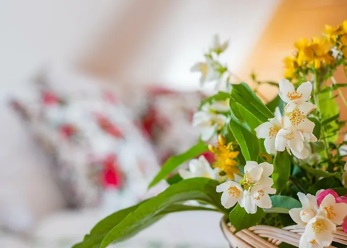 Gliczarowka בית אירוח *